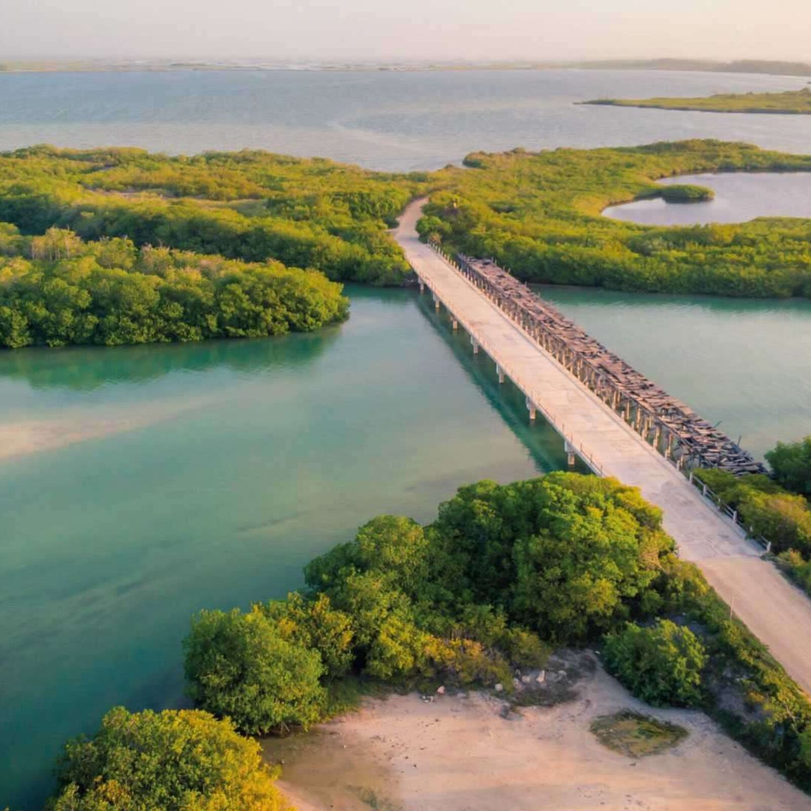 Featured image for blog post titled "Outdoor Adventures in Punta Allen: Discover Mexico's Hidden Gem"