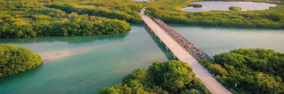 Featured image for blog post titled "Outdoor Adventures in Punta Allen: Discover Mexico's Hidden Gem"