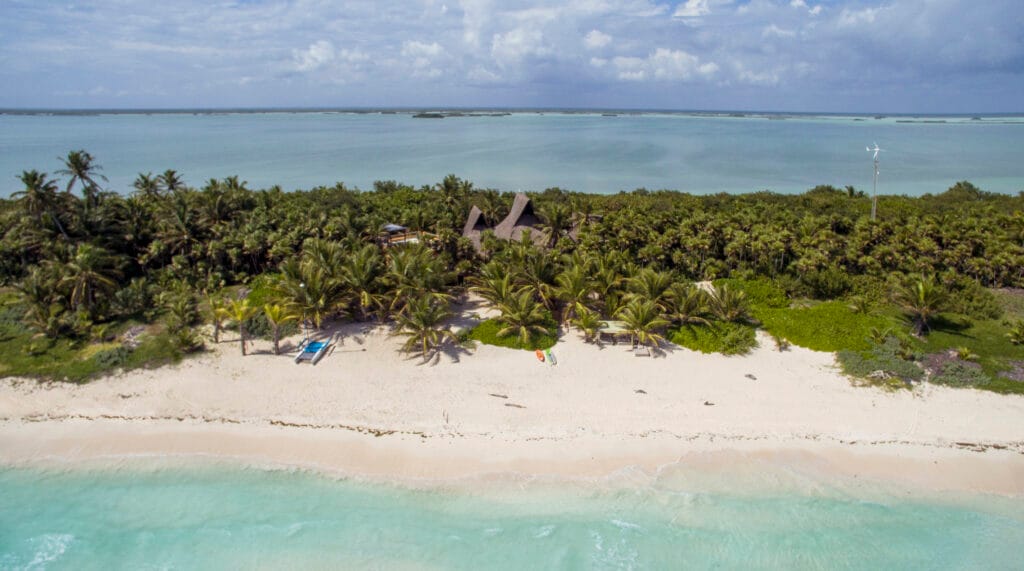 a beach with palm trees and a villa on the shore