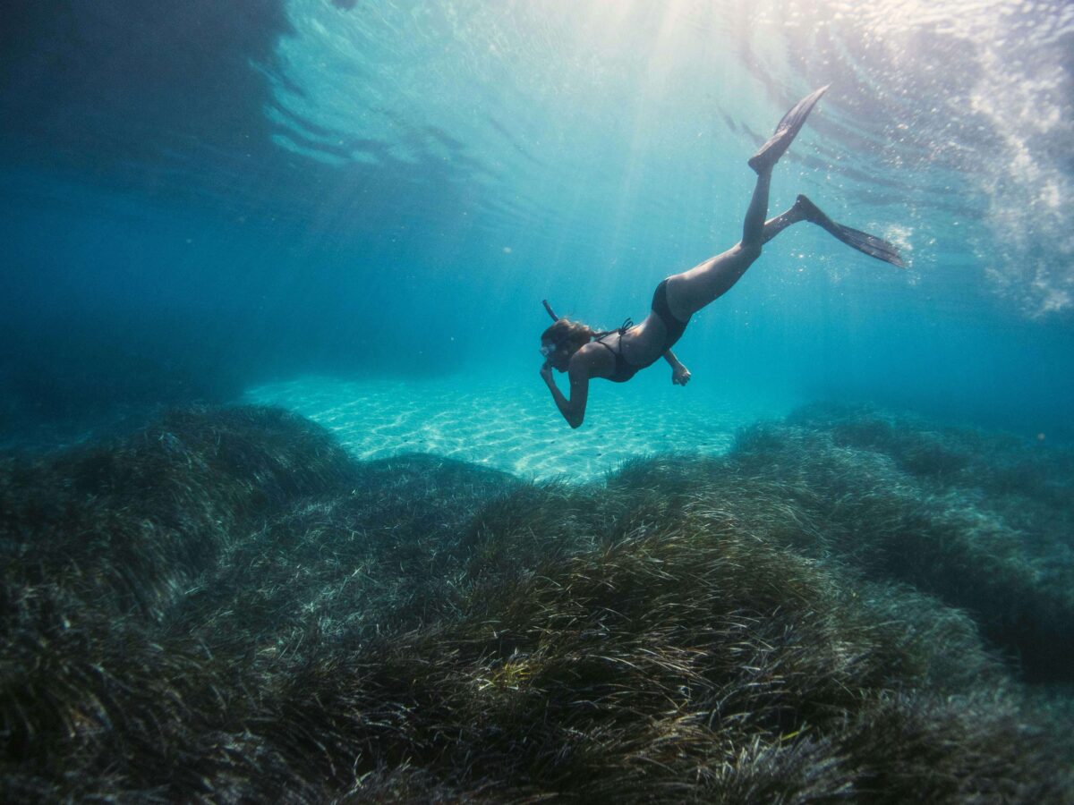 Featured image for blog post titled "Top 3 Best Snorkeling Spots Sian Kaan, Mexico"