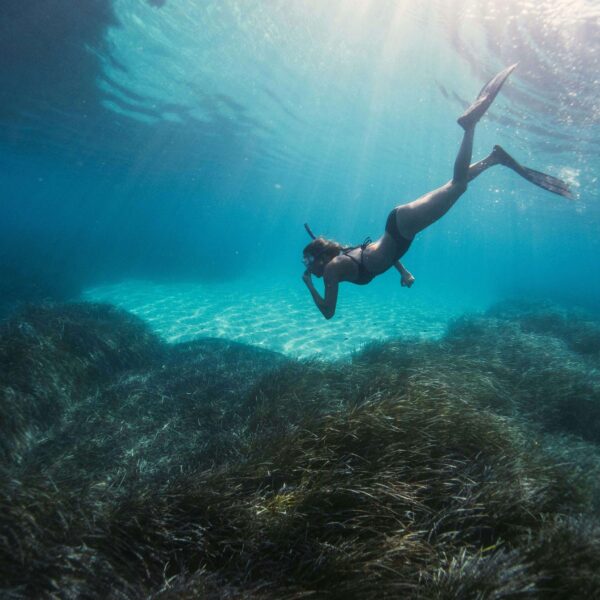 Featured image for blog post titled "Top 3 Best Snorkeling Spots Sian Kaan, Mexico"