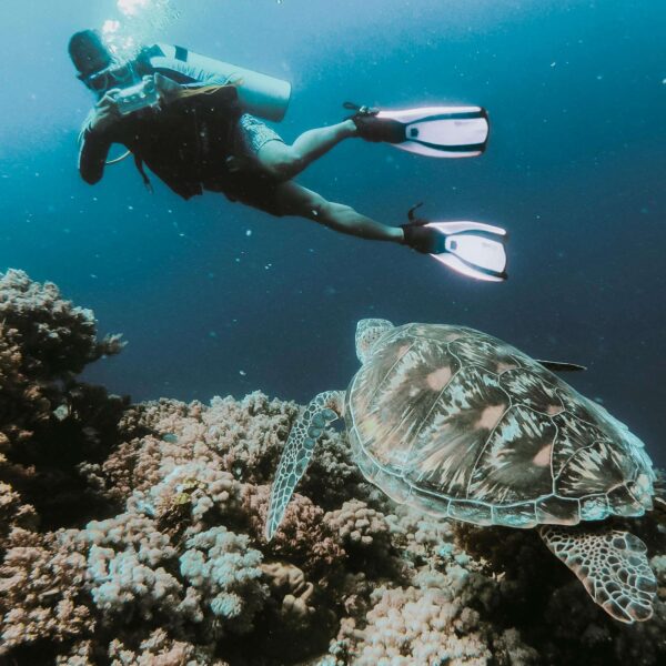Diver exploring coral reef alongside a swimming sea turtle in clear tropical waters.