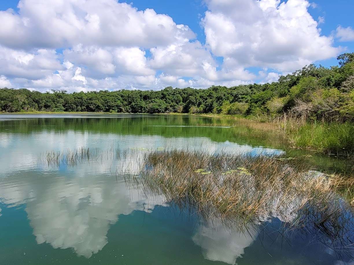 Punta Laguna
