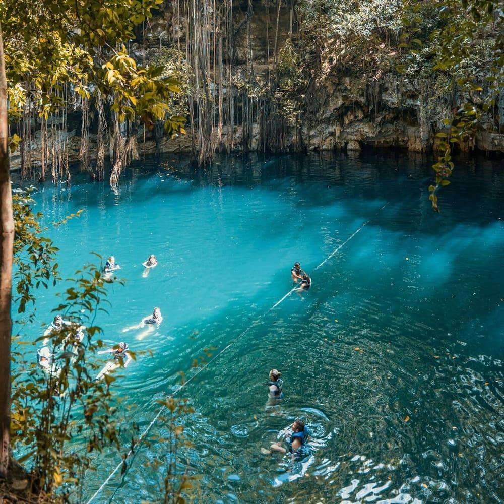 a group of people swimming in a cenote