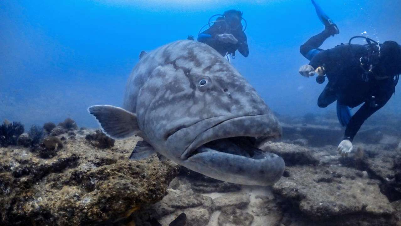 Cabo Pulmo