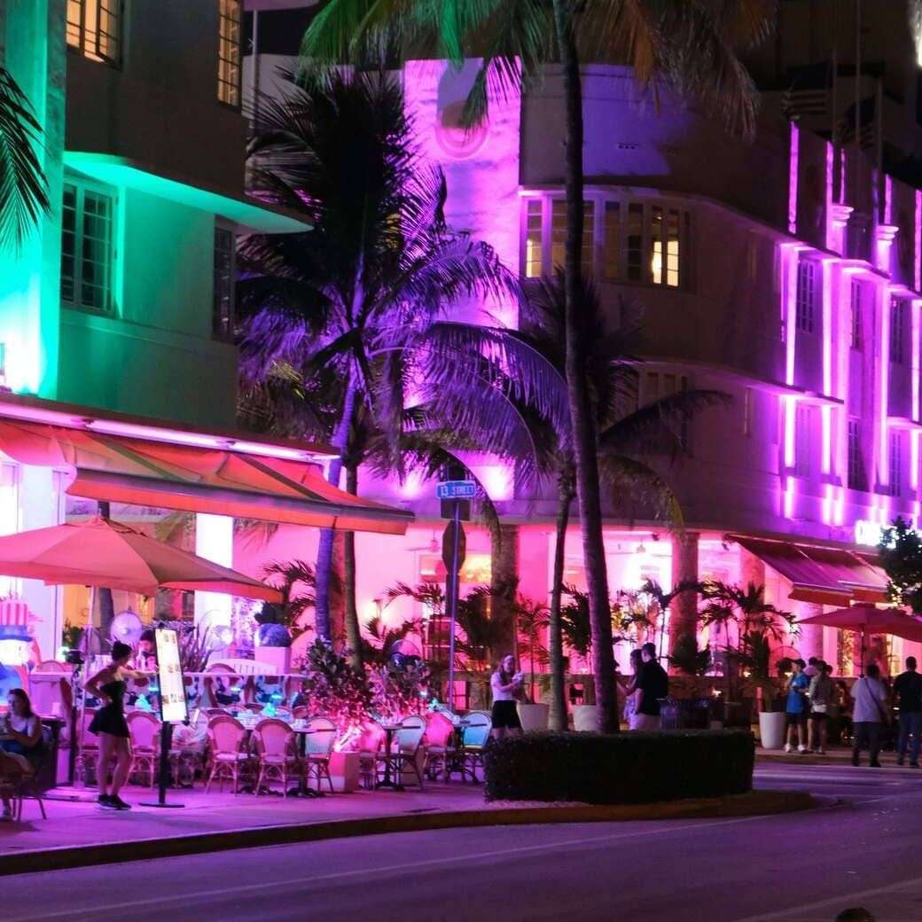 A city street at night with palm trees