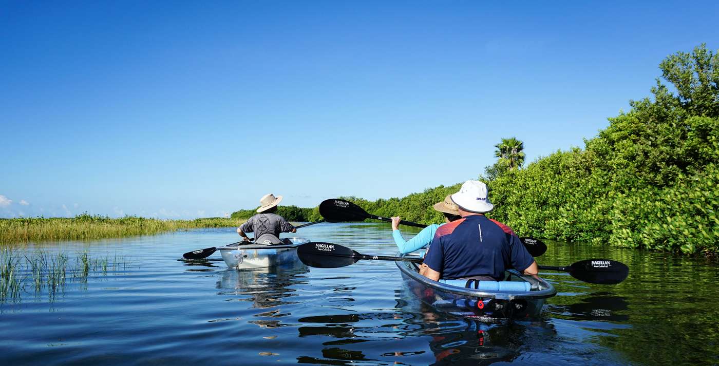 two people in a canoe paddling down a river