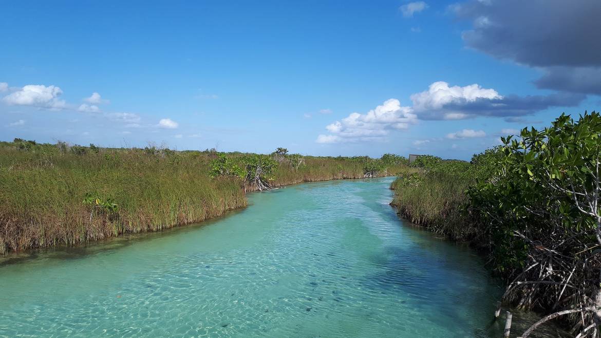 Small boat on a calm lagoon inside the Sian Ka'an reserve