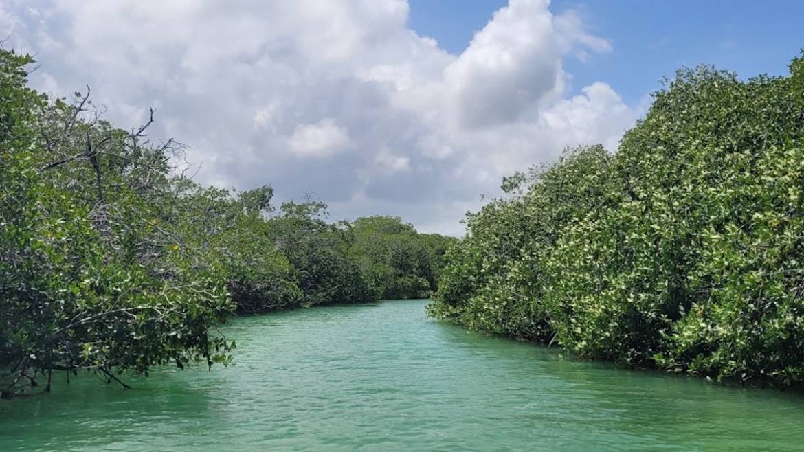 Sian Ka'an Biosphere Reserve lagoon and mangroves near Tulum
