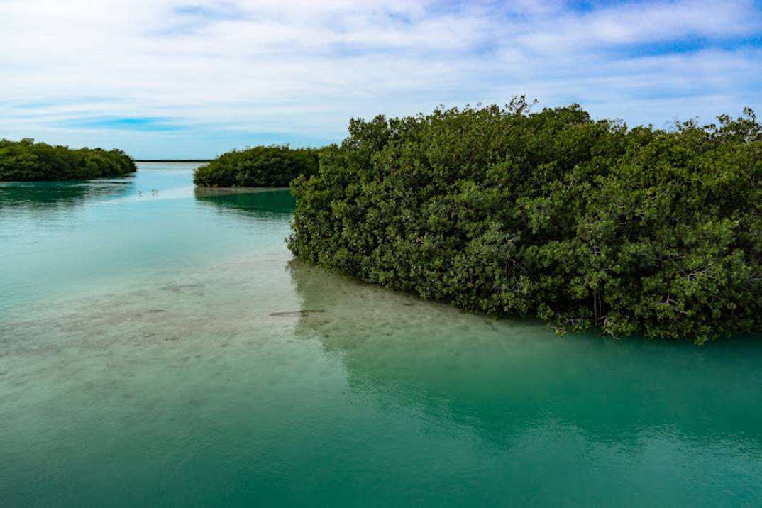 Sian Kaan Biosphere Reserve mangroves and lagoon south of Tulum
