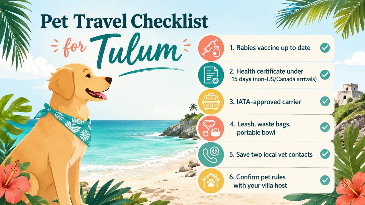 Pet travel checklist infographic for a Tulum trip
