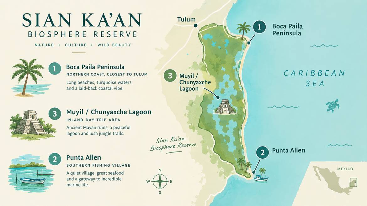 Map of the three main areas of the Sian Ka'an Biosphere Reserve: Boca Paila, Punta Allen, and Muyil