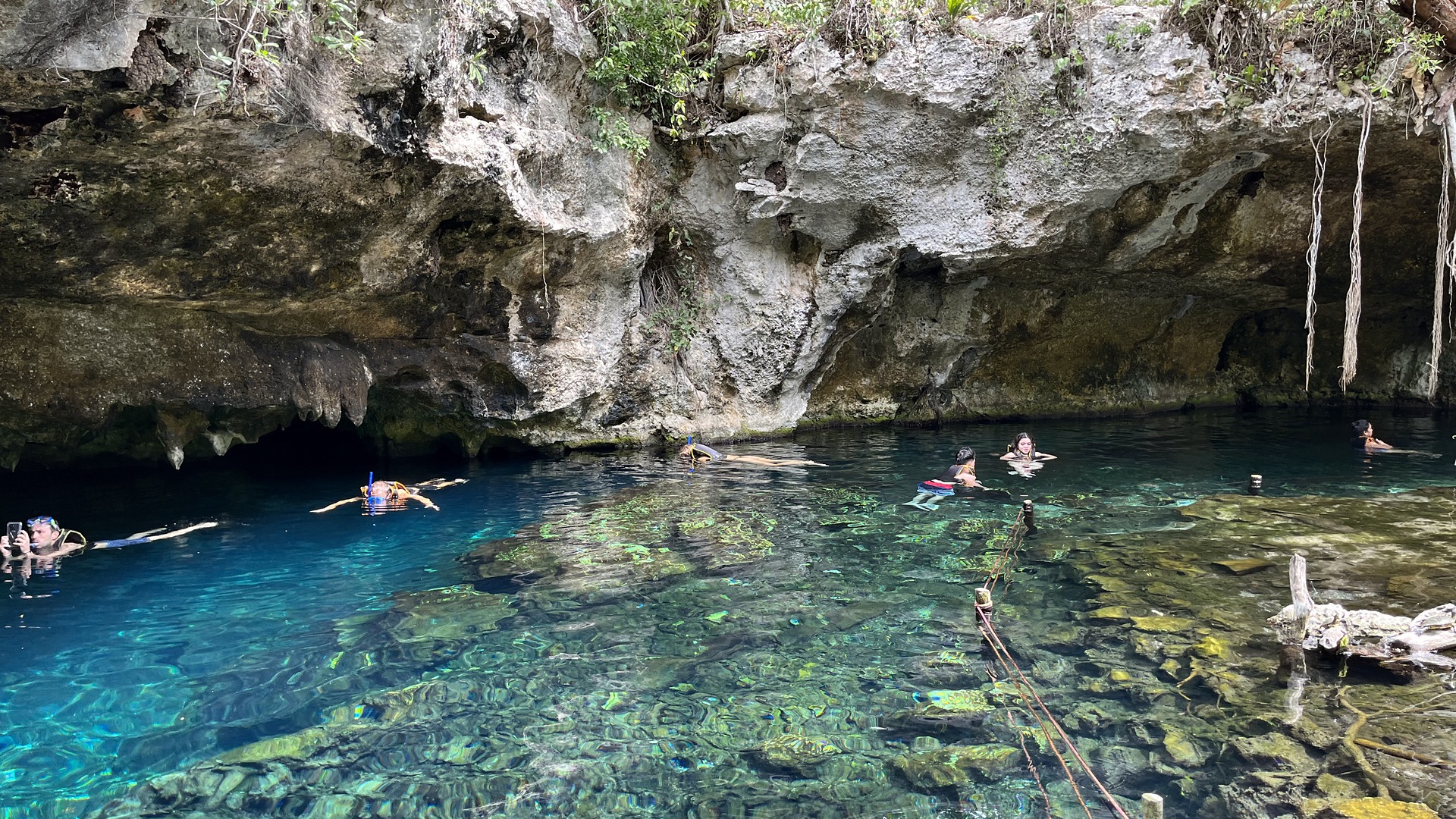The clear blue pool and cave ledge at Gran Cenote near Tulum