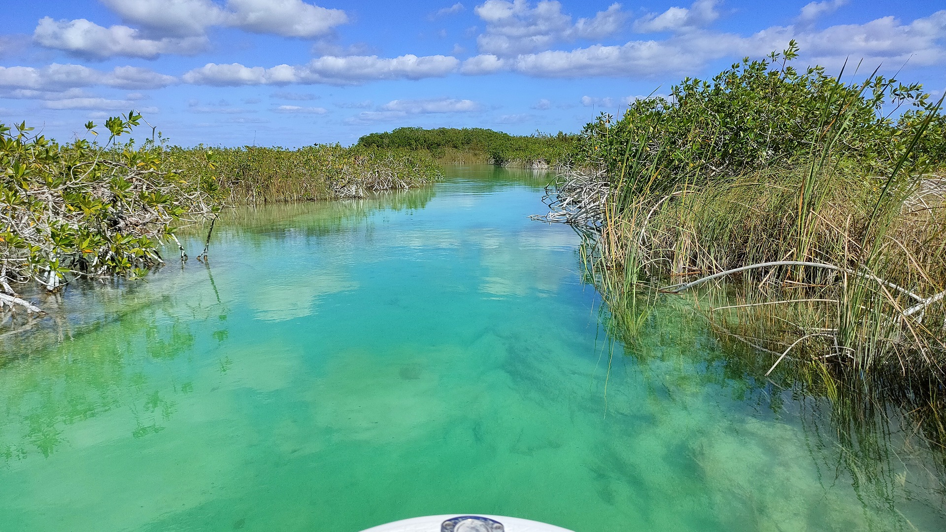 Turquoise water in a mangrove channel in the Sian Ka'an Biosphere Reserve near Muyil
